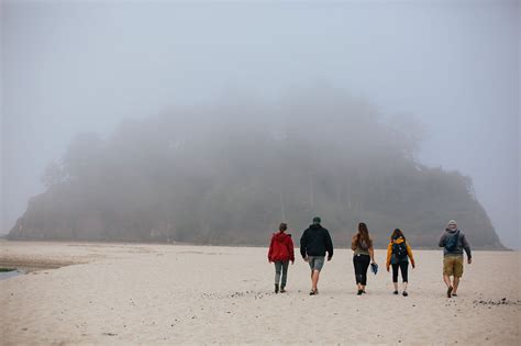 Store — Shifting Tides