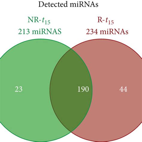 Venn Diagram Of Circulating Mirnas Detected In The Elderly T D Cohort