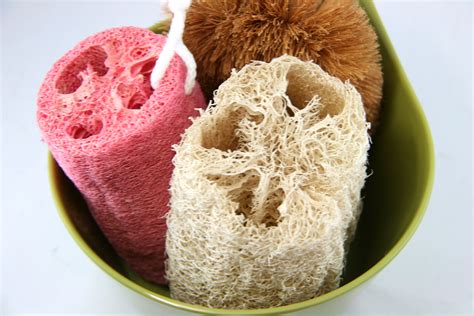 How To Clean A Loofah Or Natural Sponge 6 Steps With Pictures