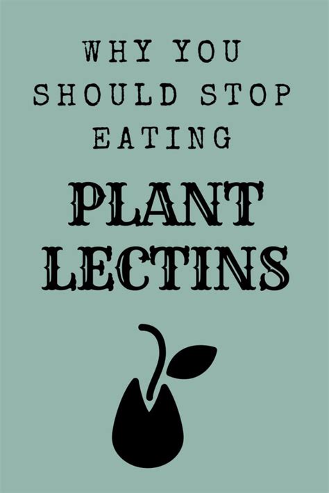 Understanding The Impact Of Plant Lectins On Your Health