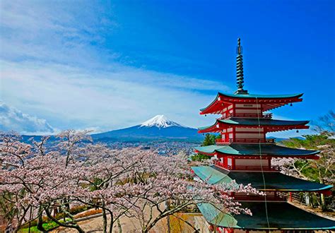 新倉山浅間公園桜まつり｜オンライン予約サービス