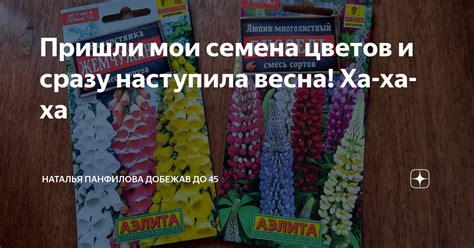 Пришли мои семена цветов и сразу наступила весна! Ха-ха-ха | Наталья ...