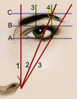 La Guía Definitiva de Diseño Profesional de Cejas Heidiane