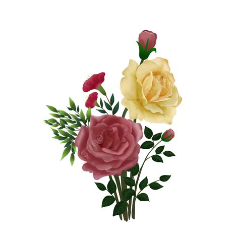 Yellow Roses Clipart Vector Red And Yellow Roses Png Image Red Rose