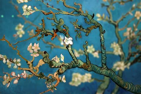 Almond Blossom Van Gogh Bewonder De Pracht Van De Bloei Met Deze