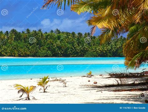 Tropical Beach Scene stock image. Image of blue, romantic - 116783