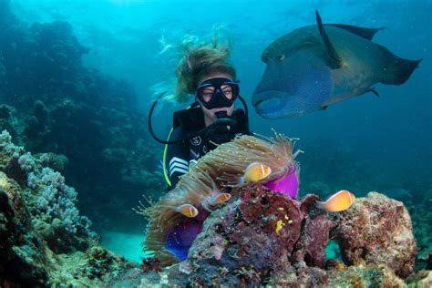 Unmissable Great Barrier Reef Experiences Queensland