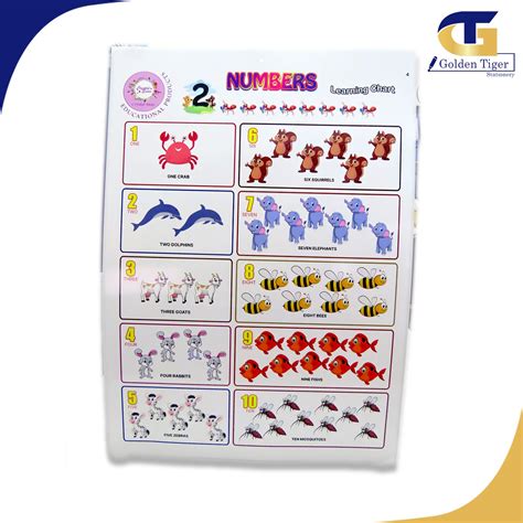 CS Learning Chart ဒဇငအစ Golden Tiger Stationery Store