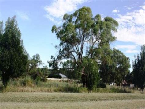 52 Binnaway Street Coolah Piper Real Estate