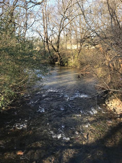 Aspen Grove Park Trails The Harpeth River Greenway In Franklin Tn