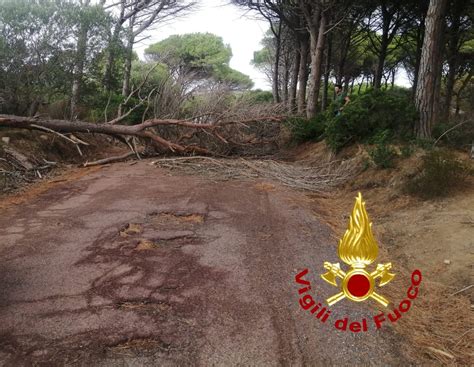 Il Maltempo Devasta La Sardegna Alberi Caduti Temporali E Vento Non