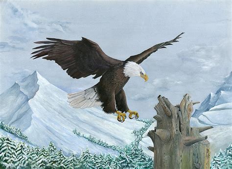 Bald Eagle In Flight Painting By Marsha Friedman Pixels