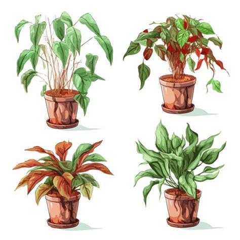 Vector Conjunto De Plantas De Interior En Macetas Vector Premium