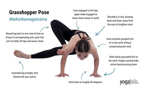 Grasshopper Pose Parsva Bhuja Dandasana