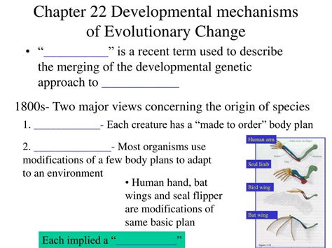 PPT Chapter 22 Developmental Mechanisms Of Evolutionary Change