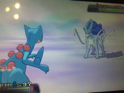 6 Shiny Suicune After 3 Days Rshinypokemon