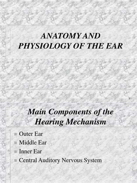 Anatomy and Physiology of The Ear | PDF | Ear | Auditory System