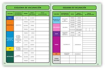 Cartillas Nacionales De Salud En El Mbito Escolar Secretar A De Salud