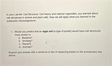 Solved In your Lab #4: Cell Structure: Cell theory and | Chegg.com 