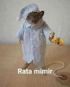 91 Ideas De Ratas En 2021 Ratas Ratas Lindas Ratas Mascota