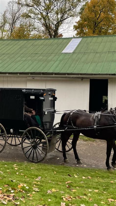 25 Things To Do In Ohio S Amish Country Artofit