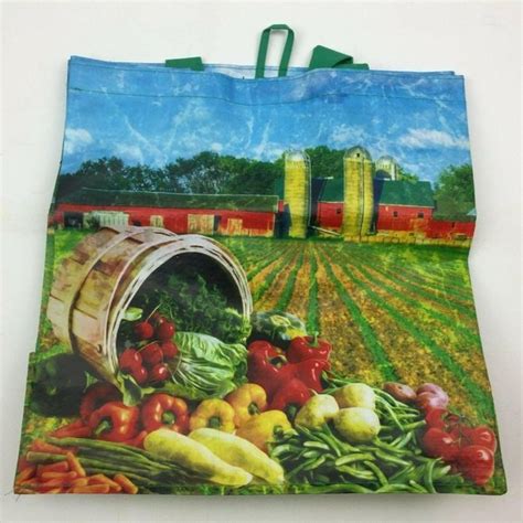 Earthwise Bags Be Wise Earthwise Reusable Grocery Shopping Bag