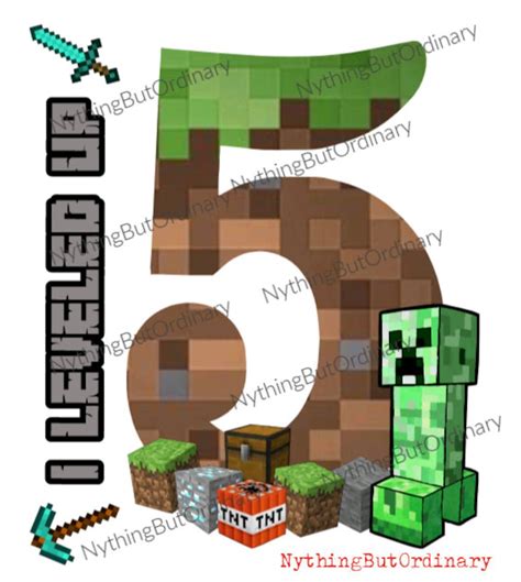 Minecraft Birthday Shirt 5 Etsy