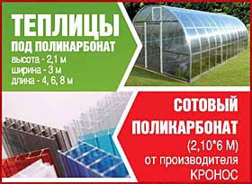 Теплицы из поликарбоната в Рязани, размеры, цены