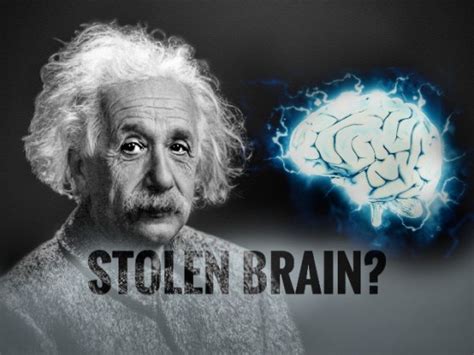 True Story Of How Einstein’s Brain Was Stolen For Science 40 Years