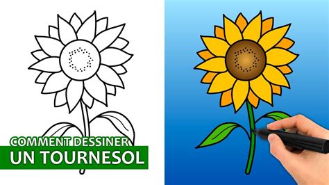 Comment Dessiner Un Tournesol Tutoriel De Dessin Facile YouTube