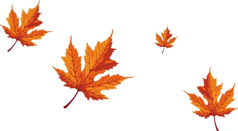 Download Maple Leaf Red Maple Falling Maple Tree Leaves Hd Png Download Vhv