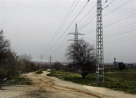 Kil Metros De Cables El Ctricos Ponen En Peligro A Las Aves De La