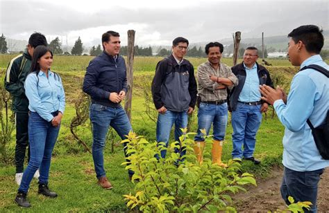 Gobierno Apoya A Productores De Tungurahua Ministerio De Agricultura