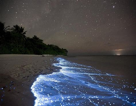 Update more than 74 wallpaper sea of stars maldives super hot - in ...