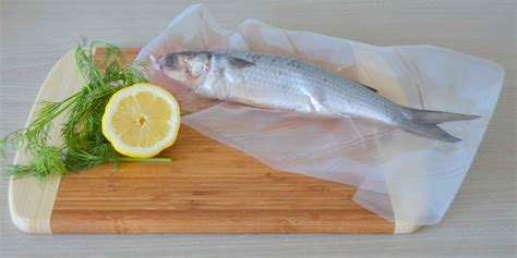 Vacuum Sealing Fish All You Need To Know About Keeping Your Catch Fresh