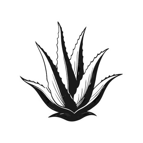 Un Dibujo En Blanco Y Negro De Una Planta Con Flores Negras Vector