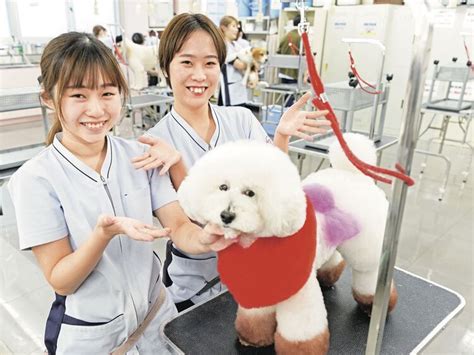 中央動物専門学校の情報満載 学校選びは【みん専】