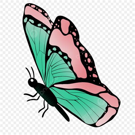 Clip Art De Mariposa Rosa Y Verde