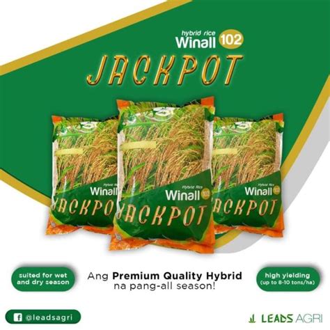 Jackpot Hybrid Rice Leads Agri Lazada Ph