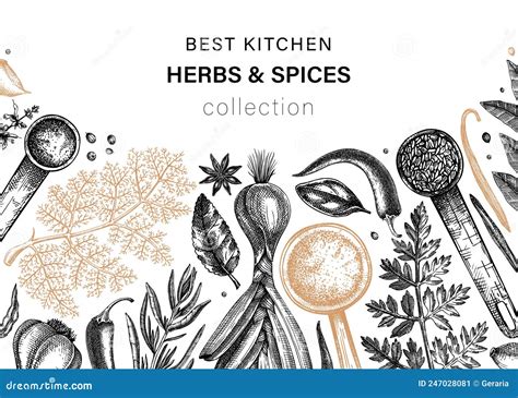 Hand Drawn Herbs And Spices Vector Banner Design Hand Sketched Food