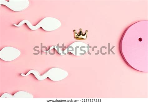 King Sperma Images Stock Photos Vectors Shutterstock