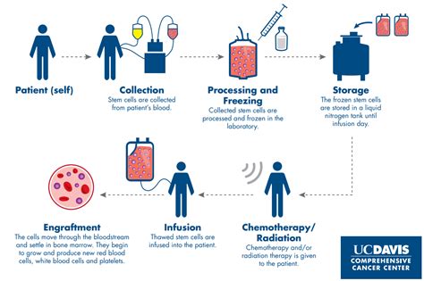 How Long Does It Take To See Results From Stem Cell Treatment Beike