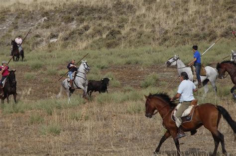 Encierro Mixto Durante La Ma Ana Del S Bado En Las Fiestas De Portillo