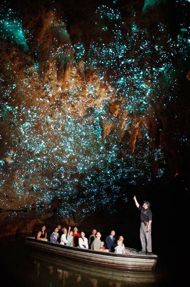 Nueva Zelanda Día 3 Cómo Es La Visita A Waitomo Caves La Cueva De