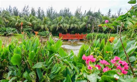 Discovery Of Saline Marsh On Yongshu Reef Marks Chinas Progress In