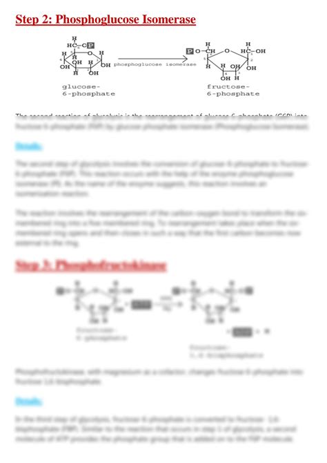 Solution Glycolysis In 10 Easy Steps Studypool