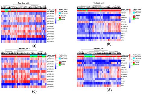 Genes Free Full Text Dna Methylation Markers For Pan Cancer