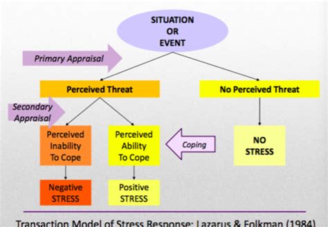 SOC3346 Sociological Theories Stress And Mental Health Flashcards