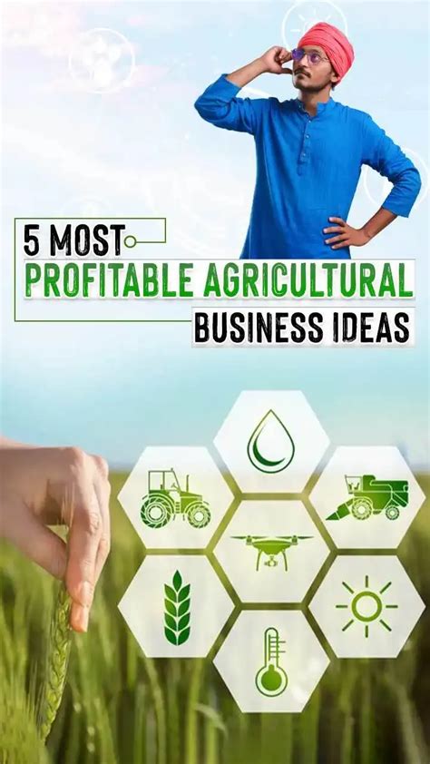 Top 5 Most Profitable Agricultural Business Ideas