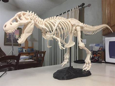 How Tall Is A T Rex 10
